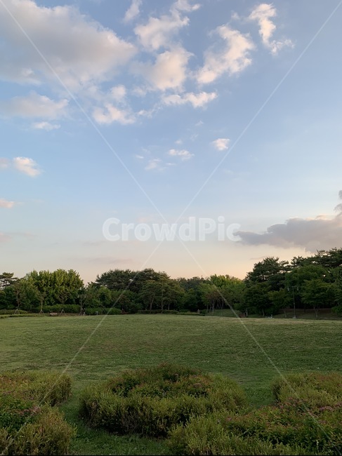 공원,잔디밭,하늘,구름,잔디,자연,식물,야외,들판,plant,nature,grass,outdoors,자연,풍경,nature,landscape