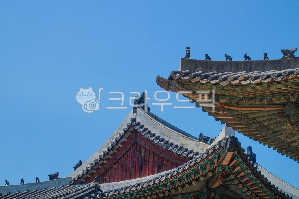 창경궁,건축물,건물,architecture,building,기와,처마,잡상,어처구니,전각,궁,궁궐,한국전통,한국문화,korean traditional,korean culture,건축물,건물외관,exterior,building,structure,architecture,construction