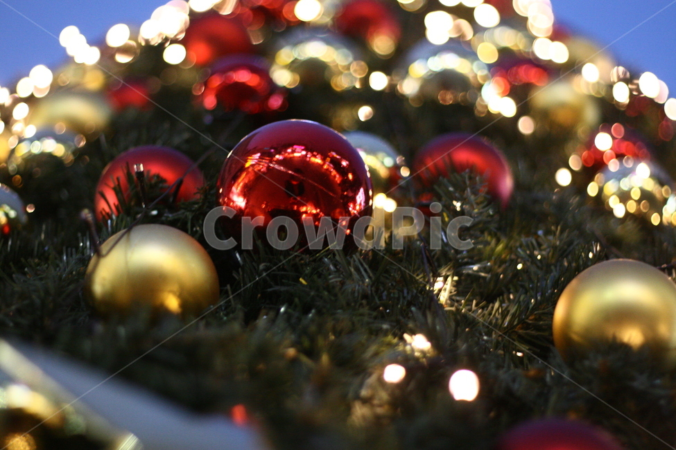 크리스마스트리,tree,christmastree,나무,plant,식물,장식,보케,겨울,계절,winter,season,메리크리스마스,성탄절,merry christmas