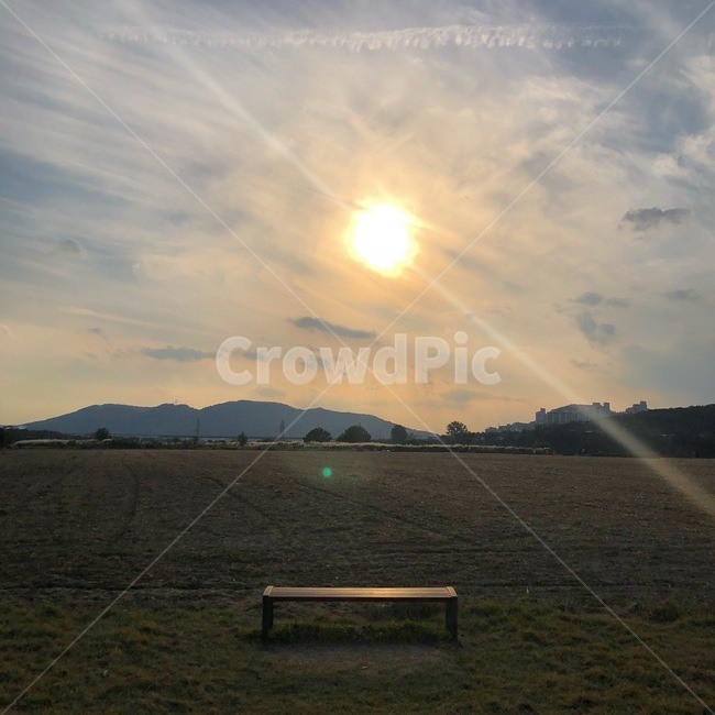 밭,빈밭,노을,가을노을,밴치,가을,자연,풍경,nature,landscape,bench,벤치,flare,플레어,light,빛,outdoors,옥외