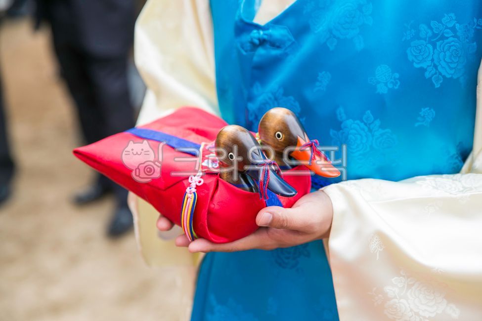 함기러기, 기러기, 남성, apparel, 의복, 사진,이미지,일러스트,캘리그라피 - Ncollazoo작가 크라우드픽 - 저작권 걱정 없는 상업용 이미지