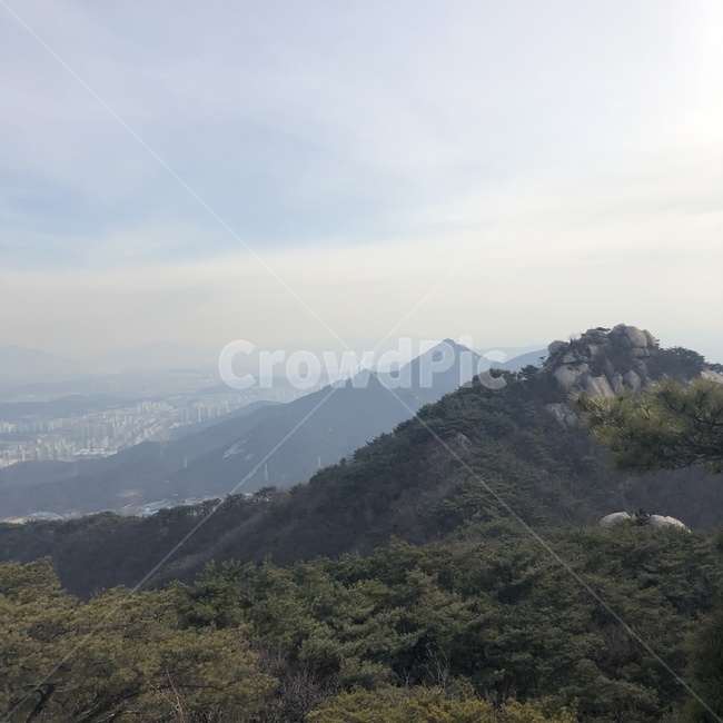 등산,녹음,산행,정상,숲,나무,자연,풍경,nature,landscape,outdoors,옥외,hill,언덕