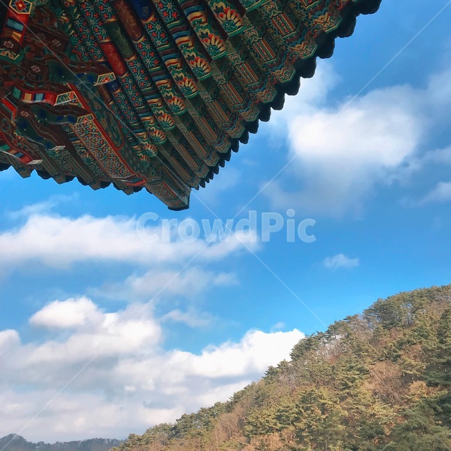 구인사,절,하늘,풍경,전통문양,처마