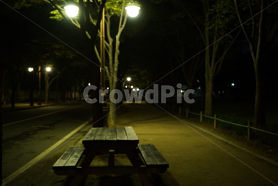 차가움,쓸쓸함,외로움,기다림,밤,자연,풍경,nature,landscape,야경,밤,nightscape,night