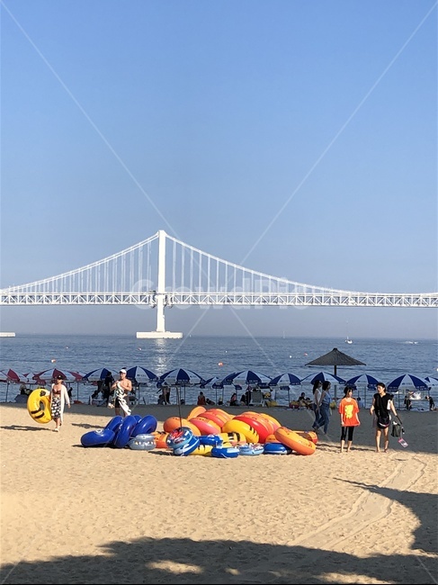 광안대교,부산,바다,여름,휴가