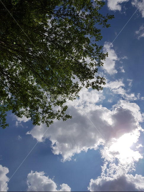 자연,nature,날씨,구름,하늘,sky,weather