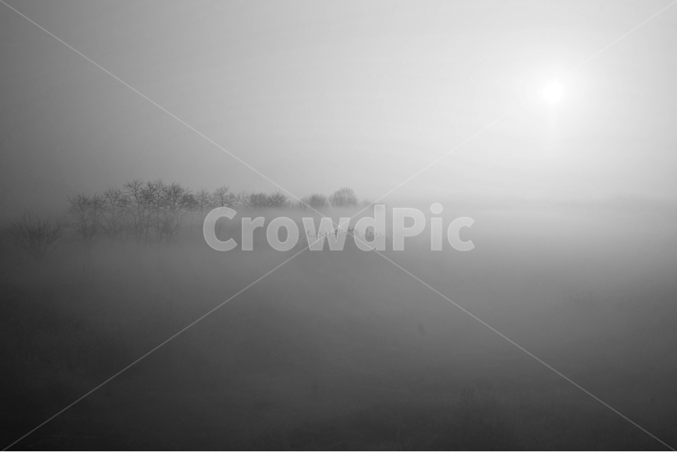 안개,여명,소래습지,겨울,새벽,자연,풍경,nature,landscape,흑백,모노톤,monochrome,black and white,outdoors,옥외,weather,날씨