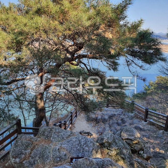 forest,pine tree,minor acidity,Baek jae,world cultural heritage,Historical and Cultural Heritage District,tree,Geumgang,mountain path,Buyeosanseong Fortress,Nakhwaam Rock,mountain climbing,acid,rock,trail,Cultural Heritage,Panorama,unesco,garden,river,gra