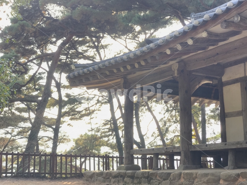 가을,담양,소쇄원,식영정,풍경사진,landscape,출사,가을풍경,단풍,은행,감성,쓸쓸함,한국전통,한국문화,korean traditional,korean culture,건축물,건물외관,exterior,building,structure,architecture,construction