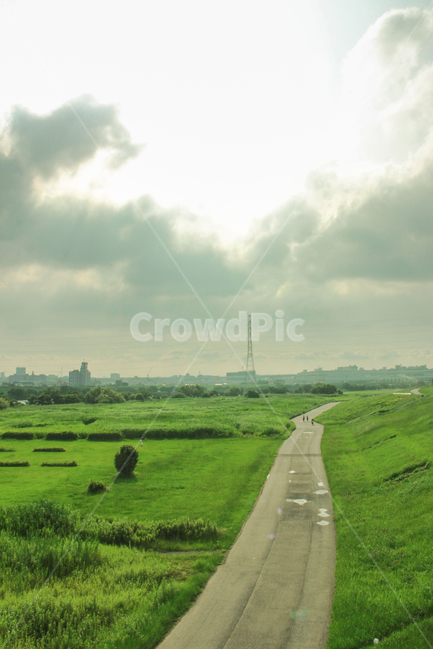 grassland,목초지,들,nature,일본