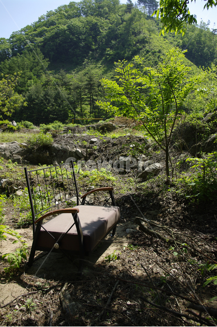 나무,식물,초록,의자,산,자연,풍경,nature,landscape,ground,바닥,plant,tree