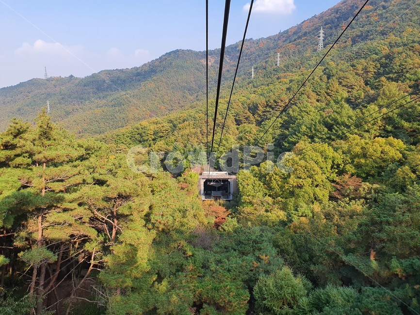 nature,자연,단풍,산,가을,autumn,단풍나무,가을산,계절,tree,나무,풍경,케이블카,가을,계절,fall,autumn,season,자연,풍경,nature,landscape