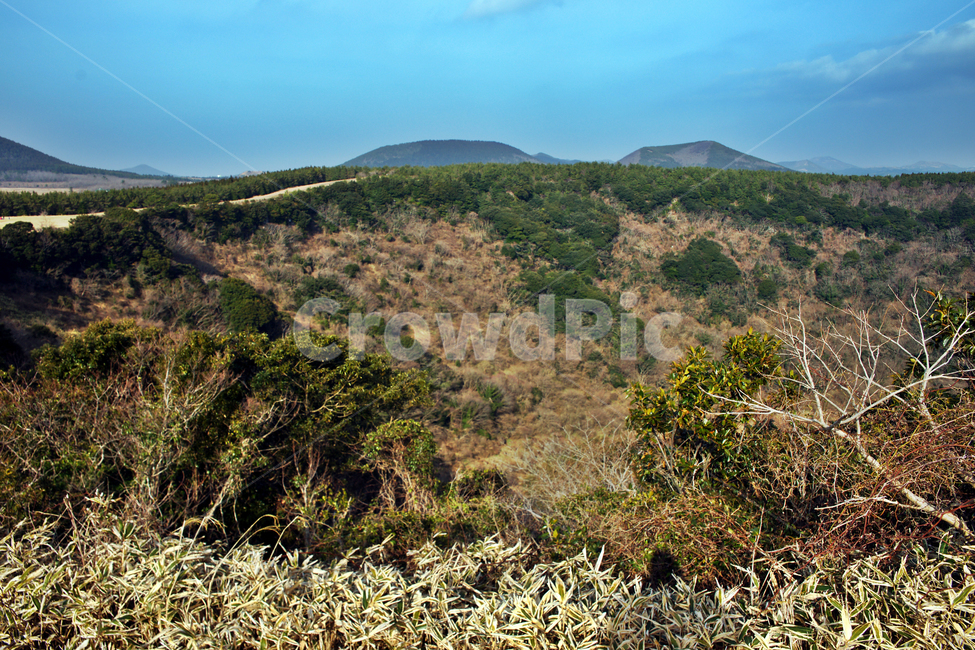 산굼부리,제주,관광지,천연기념물제263호,굼부리,분화구,기생화산,화산,화구,자연,자연,풍경,nature,landscape,제주도,jeju,jeju island,outdoors,옥외,hill,언덕