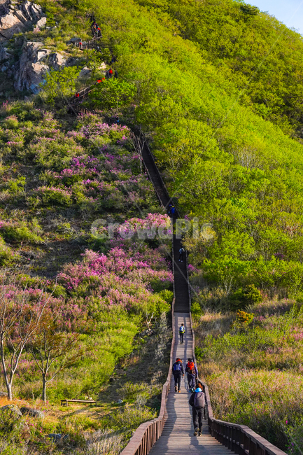 황매산,산,계단,덕기,산행,일출,철죽,축제,봄,자연,풍경,nature,landscape