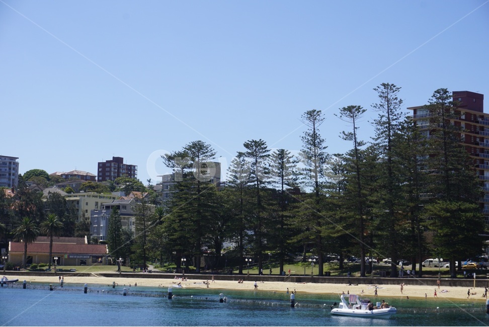 시드니,Sydney,자연,nature,호주,australia,풍경,scenery,하늘,sky,바다,sea,나무,tree,도시,풍경,city,landscape,해외,외국,세계,foreign,oversea,world,세계도시풍경,해외도시풍경,외국도시풍경,world cityscape,boat,보트,vehicle,차량,transportation,교통,water,물