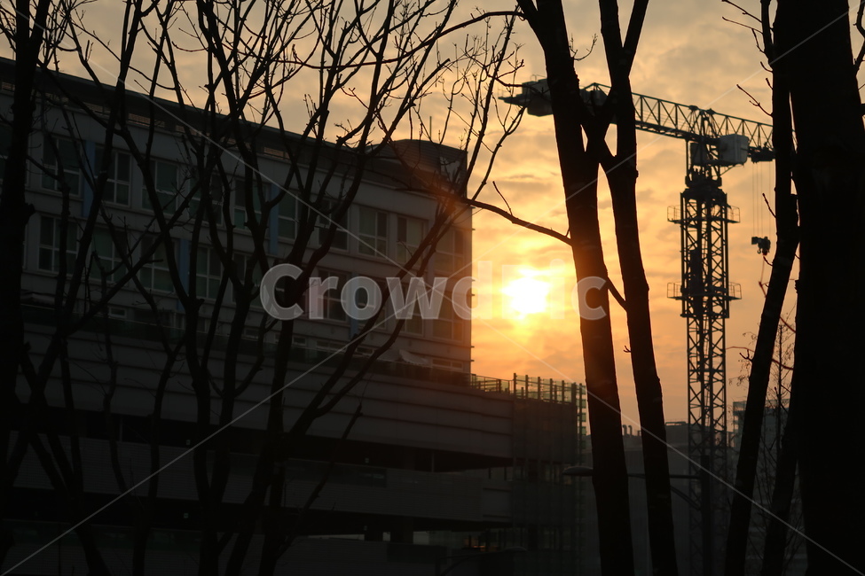 판교,노을,판교노을,도시의노을,선셋,sunset,도시,풍경,city,landscape,실루엣,그림자,silhouette,shadow,light,빛,flare,플레어