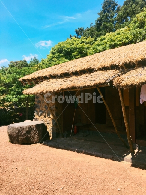 제주도,오두막,초가집,풍경,자연,시골,마을,풍경,landscape,country,rural,town,한국전통,한국문화,korean traditional,korean culture