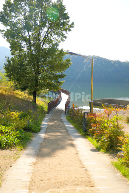 수변공원,대구,호수,산책,산책길