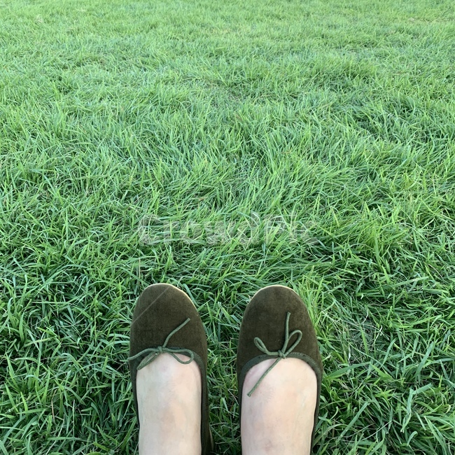 잔디,grass,식물,plant,단화,초록,녹색,green,신발