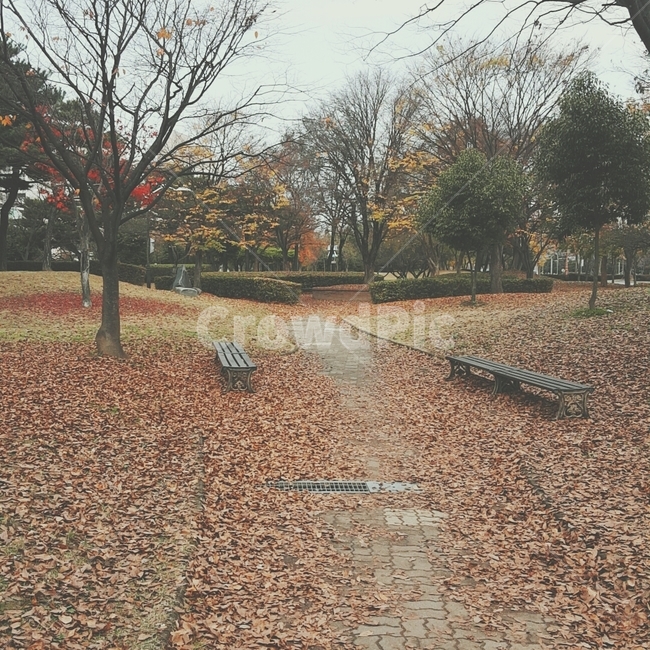 가을,낙엽,길거리,공원,벤치,fall,fallenleaves,한적함,나무,쓸쓸함,알록달록