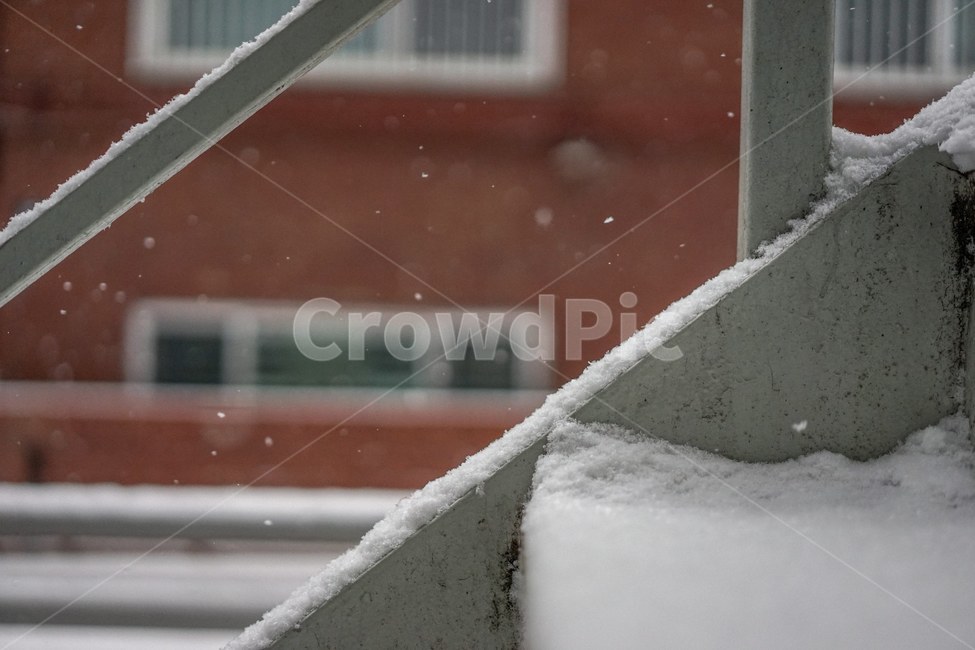 스노우,눈,snow,겨울,폭설,날씨,겨울,계절,winter,season,감성,sensible,feeling