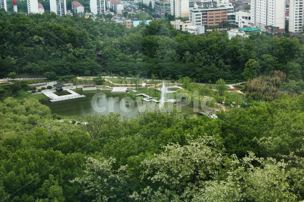 북서울꿈의숲,서울,한국,숲,호수,물,나무,녹색,그린,풍경,하이앵글,자연,분수대,정자,항공촬영,도시,도심,공원,도시,풍경,city,landscape,한국도시풍경,한국도시경관,korea cityscape,outdoors,옥외,nature
