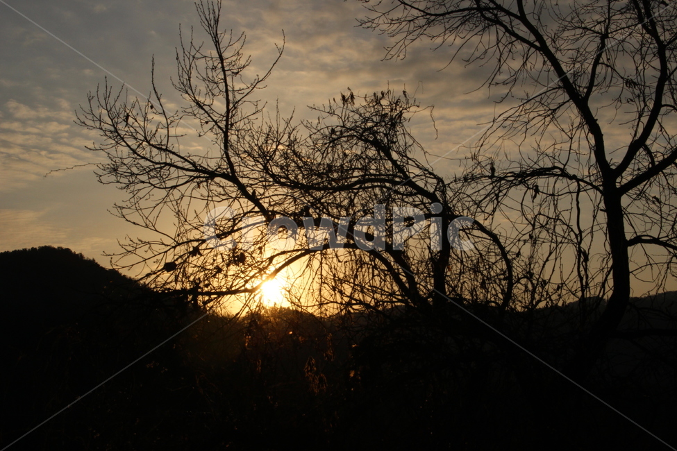 세종,대평동,새해,일출,해돋이,붉은색,풍경,아침,소망,기원,자연,풍경,nature,landscape,실루엣,그림자,silhouette,shadow,outdoors,옥외,sky,하늘,dawn,새벽,red sky,붉은 하늘,sunset,일몰,dusk,황혼