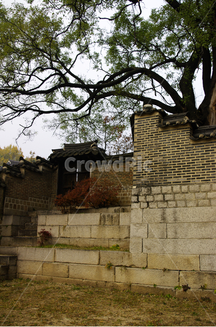 낙선재,건축,전통건축,traditional,전통,기와지붕,담장,문,한국전통,한국문화,korean traditional,korean culture,건축물,건물외관,exterior,building,structure,architecture,construction