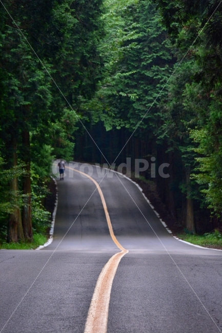 제주도,재주도,제주,김녕해수욕장,김녕성세기해변,제주도해수욕장,제주도바다,등대,풍력발전기,에메럴드빛바다,제주도여행,제주도셀프웨딩촬영지,제주셀프웨딩,제주도스냅사진,제주도스냅촬영,제주도스냅촬영지,김녕,성세기해변,데이트사진,데이트스냅,해수욕장,요트삼나무숲,삼나무숲길,도로사진,천왕사길,자연,풍경,nature,landscape,여름,계절,summer,season,교통,교통수단,traffic,transportation,asphalt,아스팔트,road,도로