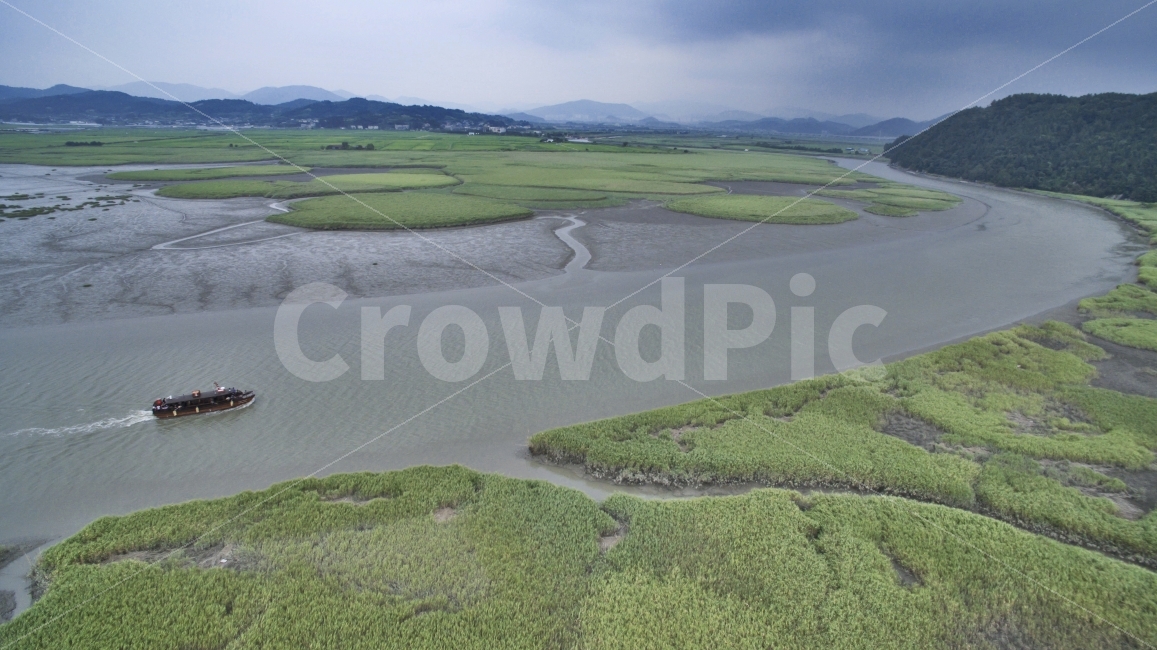 순천만,습지,바다,항공촬영,드론,자연,풍경,nature,landscape,경치,outdoors,옥외,scenery,field,들,land,땅