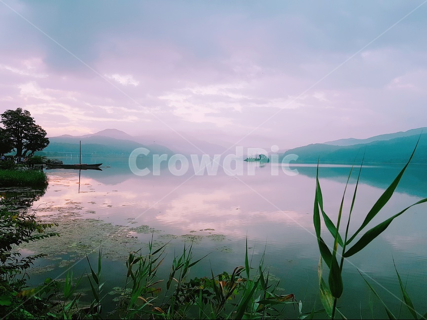 두물머리,양평,새벽풍경,안개,물안개,일출,자연,풍경,nature,landscape,land,땅,outdoors,옥외,grass,잔디,plant,식물,water,물