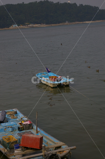 watercraft,선박,transportation,교통,바다,배,산업,industry,industrial,어업,fishery,fishing industry