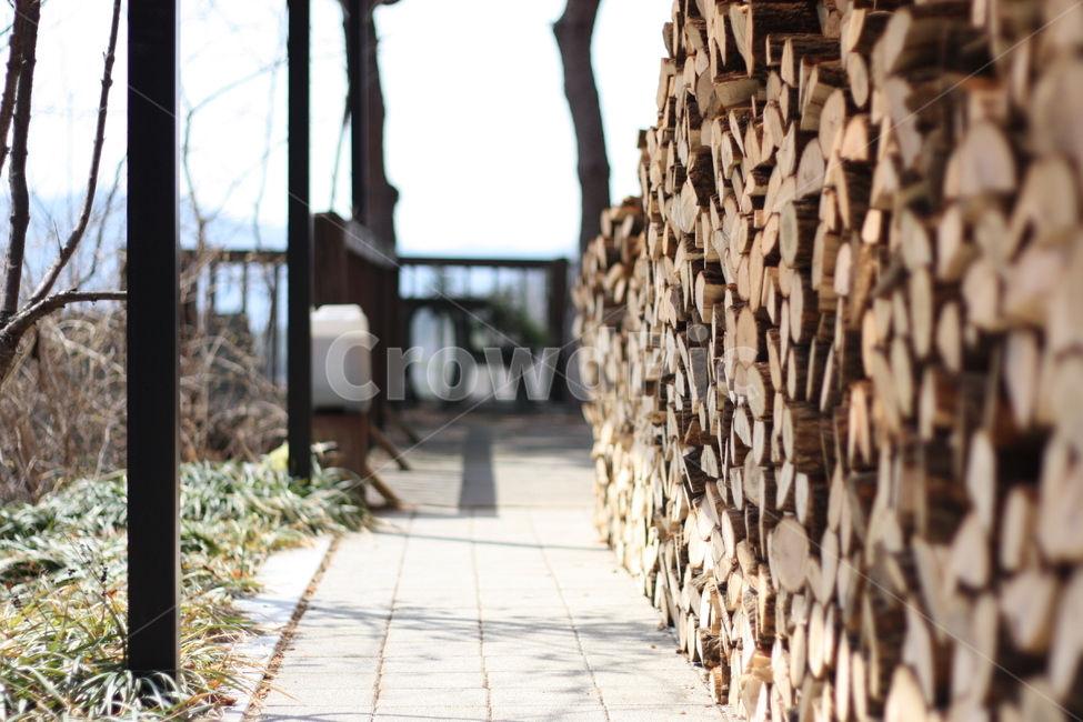장작,나무,늦가을,풍경,편안함,나무,trees,wood