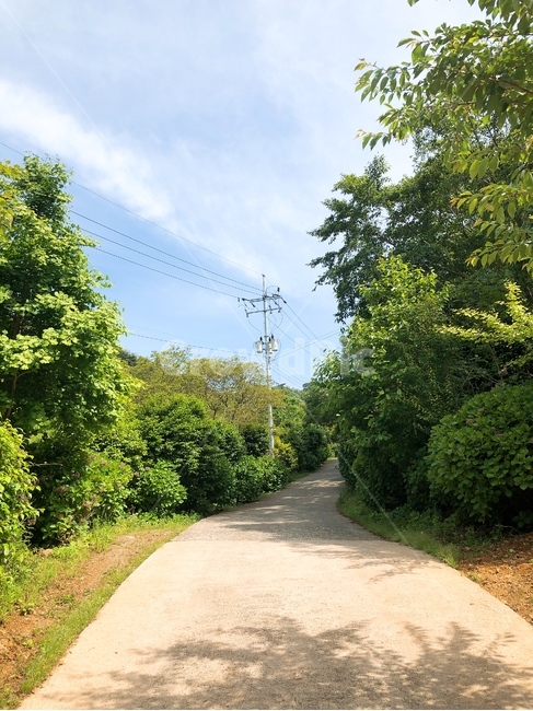 시골,길,산,산길,하늘,풍경,배경