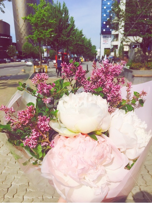 작약,꽃다발,선물,꽃,데이트,분홍색