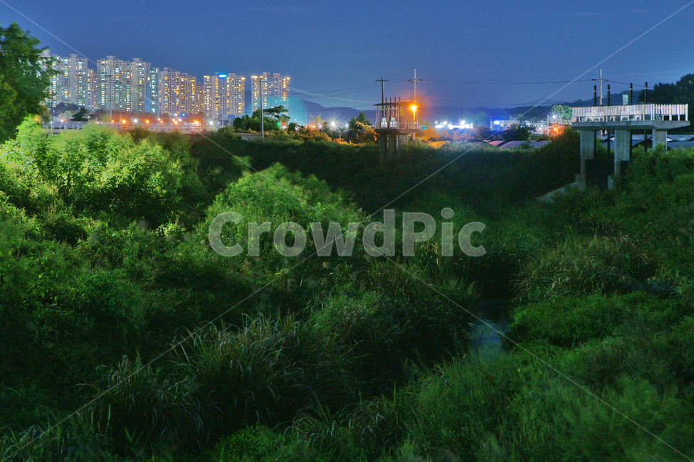 야경,개발,숲,개천,아파트촌,불빛,야경,밤,풍경,nightscape,night,landscape,도시,city,한국도시풍경,한국도시경관,korea cityscape