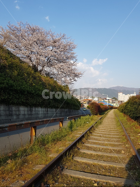 벚꽃,철길,하늘,진해,경화역,진해군항제,봄,계절,spring,season,rail,레일,transportation,교통,train track,기찻길,railway,철도,road,도로,dirt road,흙길,gravel,자갈