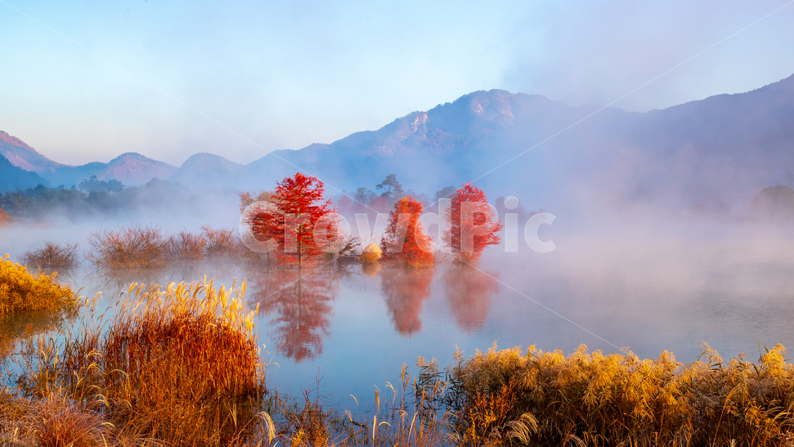가을,호수,물안개,아침,나무,가을,계절,fall,autumn,season,자연,풍경,nature,landscape,한국자연풍경,한국자연경관,korea nature landscape,outdoors,옥외,weather,날씨