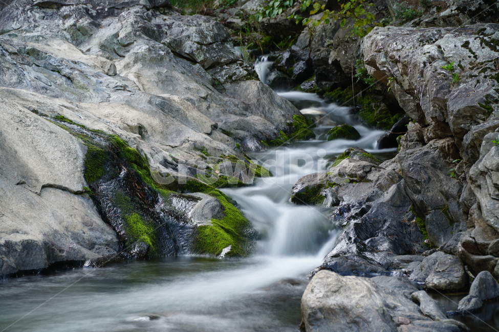 경기도,경기북부,동두천,탑동계곡,계곡,자연,한국자연,한국,korea,nature,valley,water,물,바위,돌,암석,rock,stone,이끼,풀,수풀,경치,scenery,scene,view,하천,시냇물,outdoors,옥외,stream,작은만,흐름,개울,자연,풍경,nature,landscape,river,강