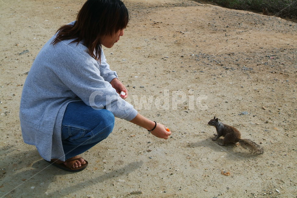 squirrel,다람쥐,땅다람쥐,신남,재미,신기,fun,cute,animals,human,인간,person,사람,동물,animal,포유류,mammal,사람,인물,인간,human,person,남성,남자,man,male