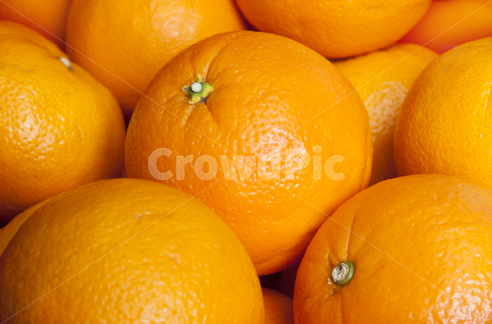 오렌지,주황색,감귤류과일,과일,orange,fruit,citrusfruit