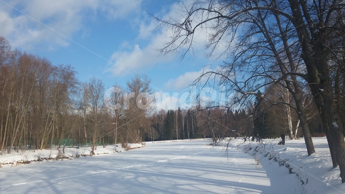 옥외,natutre,자연,러시아,겨울,눈,얼음,아이스,흰색,white,ice,snow,russia,winter,outdoors,숲,강,개울,forest,tree,나무,plant,식물,눈밭