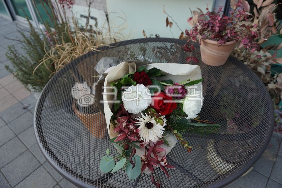 gift,blossom,bunchofflowers,flowersinavase,bouquet,Rose,flower arrangement,vase,flowerbouquet,flower,flower bouquet,flower gift,flowerarrangement,plant