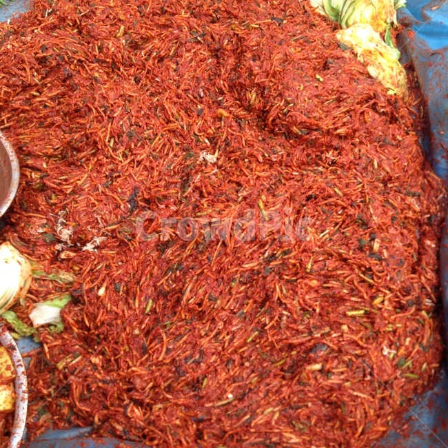 김치,김장,배추,무,김치양념,양념,고추,협동,시골,무채,무양념,김장철,겨울