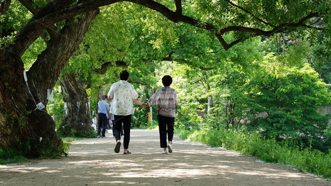 느티나물,모자지간,나들이,반곡지,여행