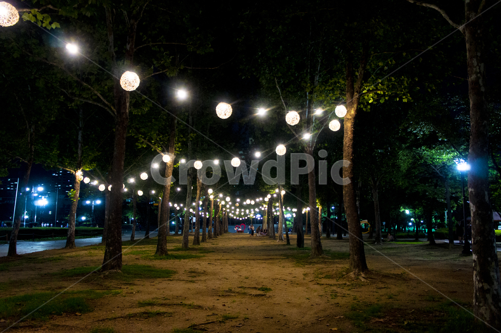 야경,공원,park,경치,밤,풍경,nightview,건물,landscape,빛,light,아파트,평촌,평촌공원,등