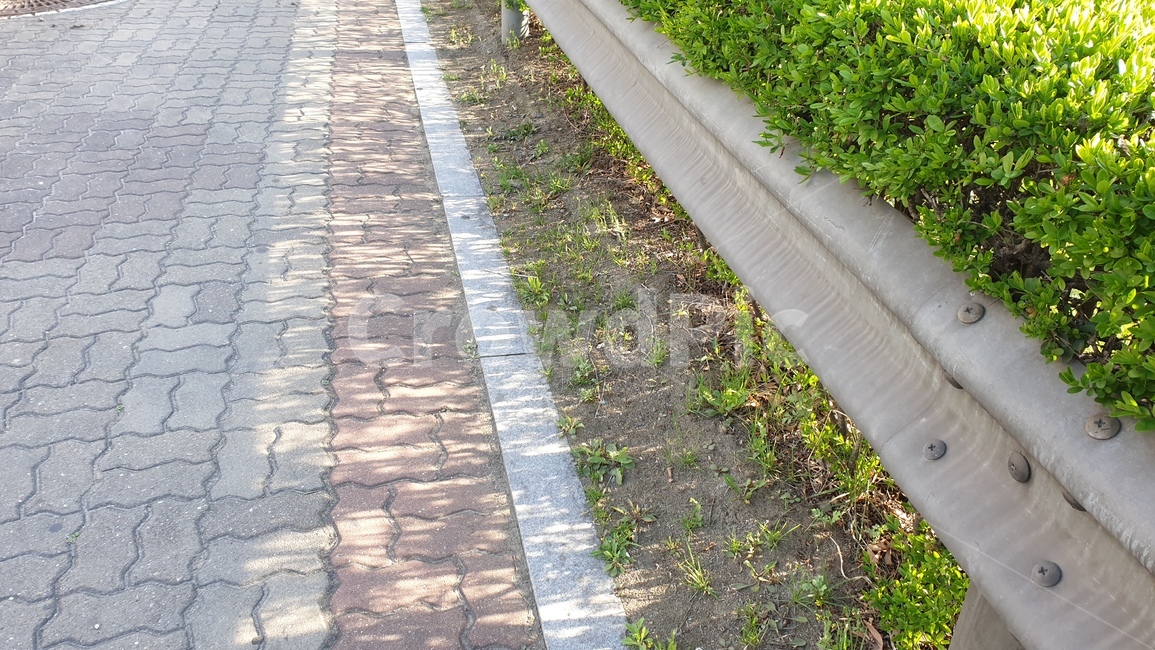 길,도보,나무,꽃,꽃길,인도,선,안전문,초록,연두,풀,잔디,시멘트,한국,onfoot,road,walk,way,나눔,나누기,반,감성,자연,배경,풍경