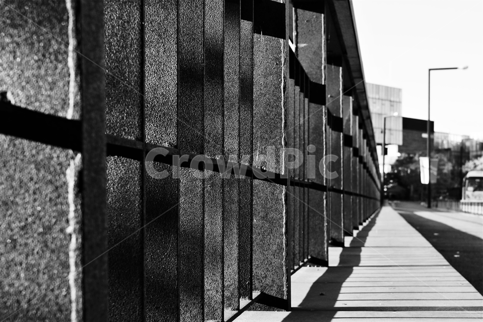 흑백,가을,외로움,그림자,autumn,fall,교각,다리,shadow,monotone,bw,loneliness,solitary,모노톤,차가움,흑백사진,흑백,모노톤,monochrome,black and white