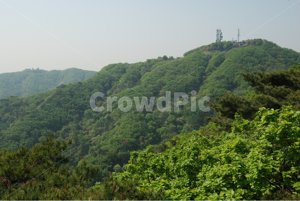산,mountain,tree,trail,spring,자연,풍경,nature,landscape,outdoors,옥외,hill,언덕