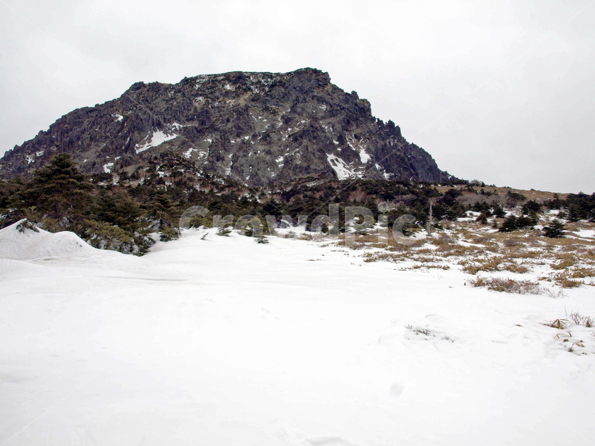 어리목,한라산,제주도,겨울,겨울산,설화,설목,설경,눈,등산,백록담,겨울,계절,winter,season,자연,풍경,nature,landscape,outdoors,옥외,mountain,산